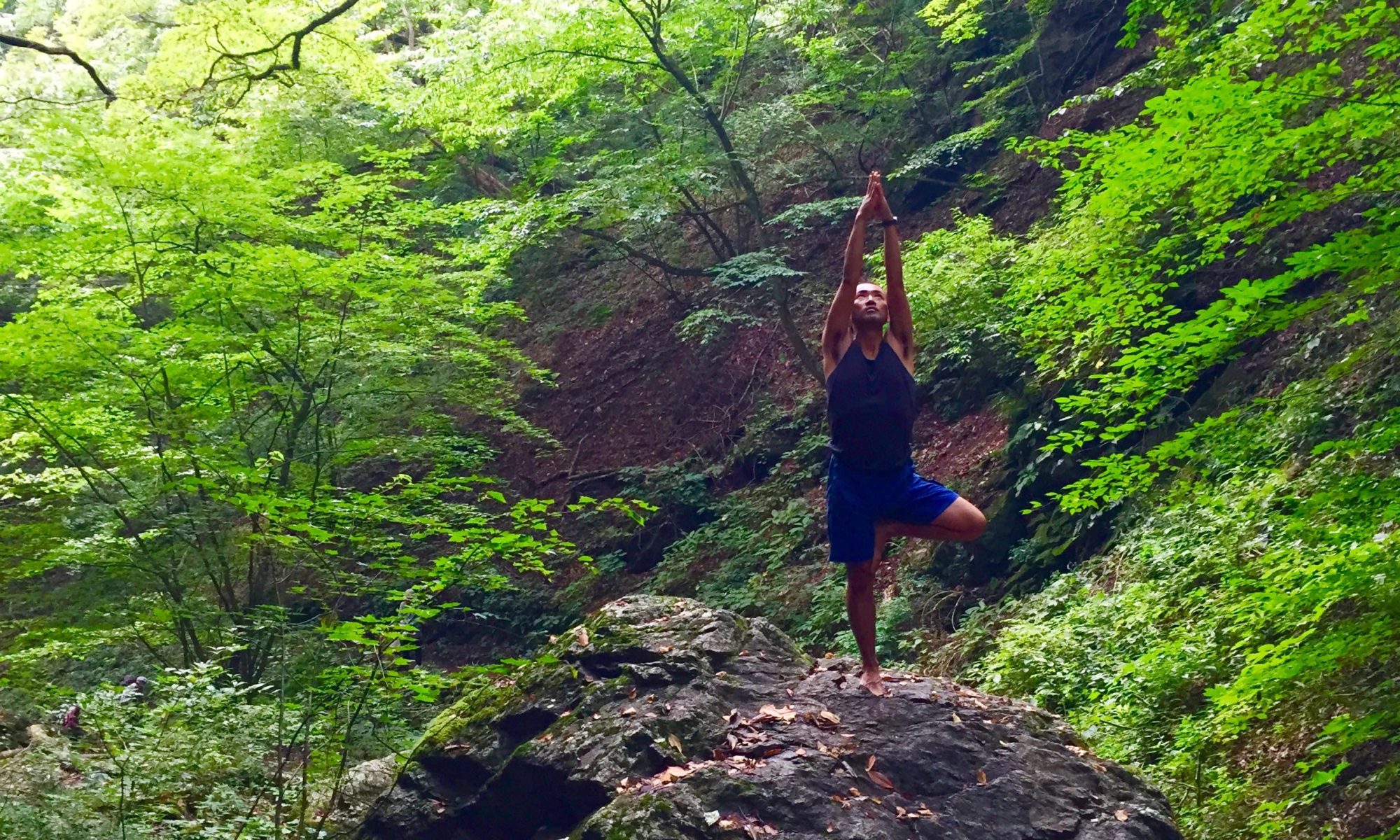 Mitsuo Nakamura Yoga